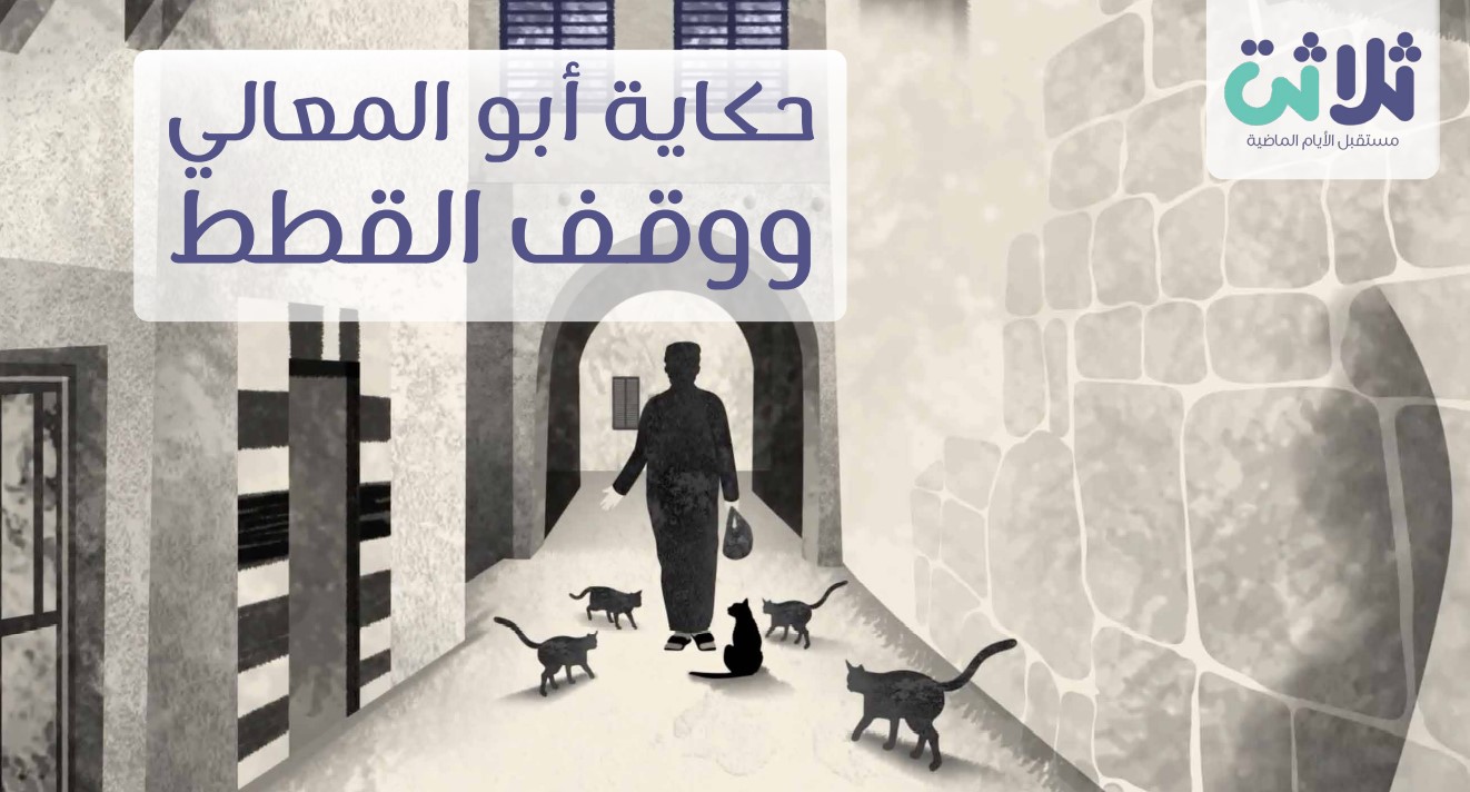 نعم .. هذا الوقف تم بناؤه للقطط ..وقف خارج عن المألوف